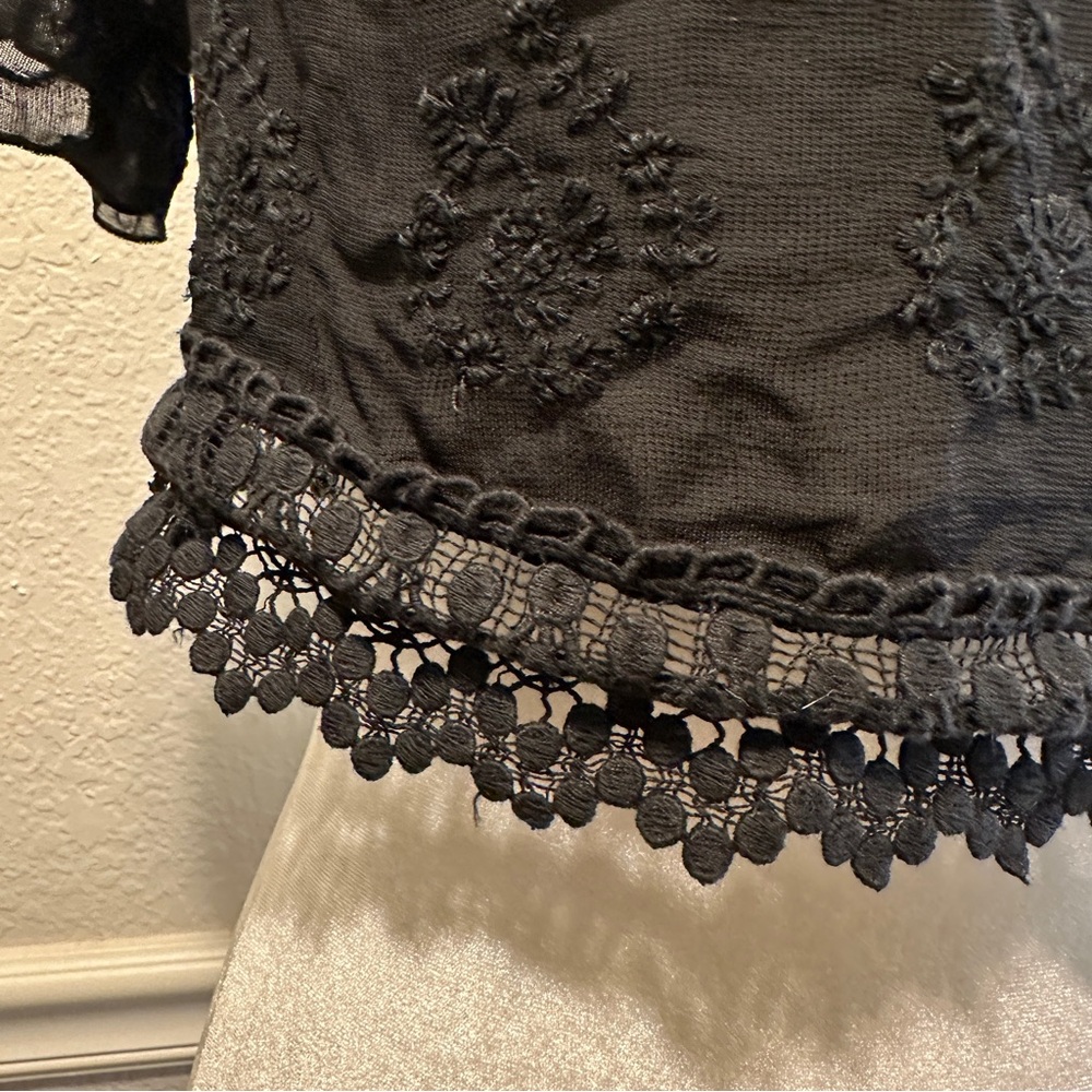 Zara Embroidered Lace Sheer Crop Top Size S - Picture 5 of 6